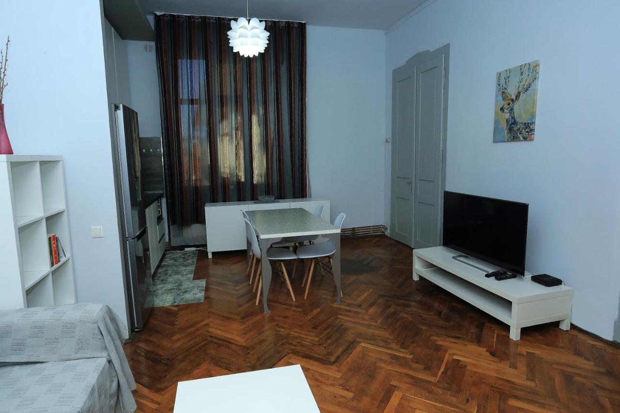 Napoca Central Apartment Cluj Napoca Bagian luar foto